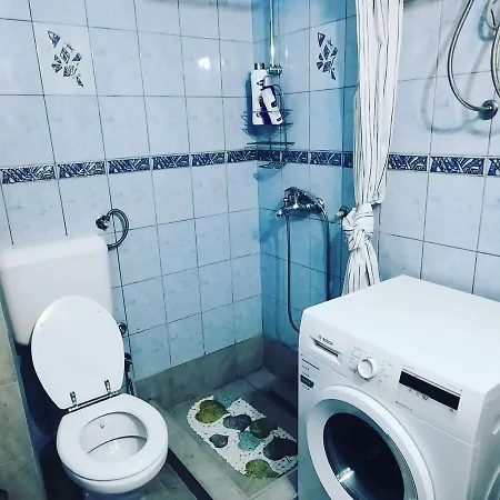 Dzidzi