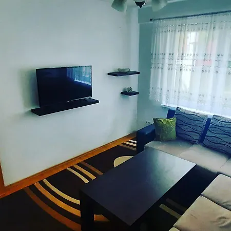 Dzidzi